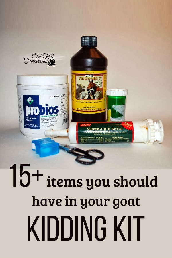 19 Important Items to Include in Your Goat Birthing Kit (Free Printable