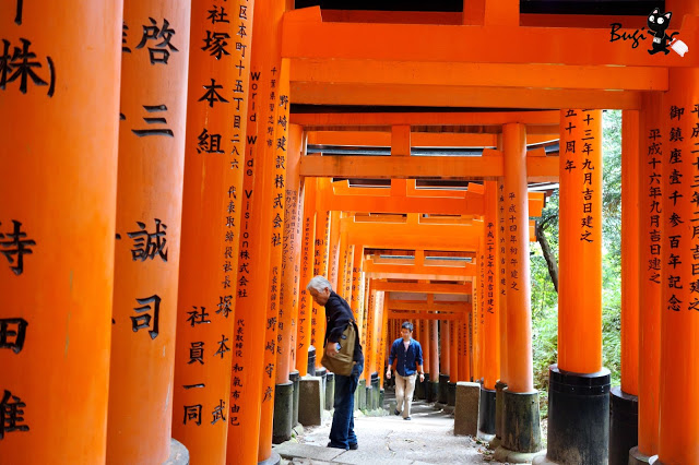 關西／京都大阪自由行規劃　帶著長輩輕鬆走（含5天4夜行程、交通、景點、旅館、美食資訊）