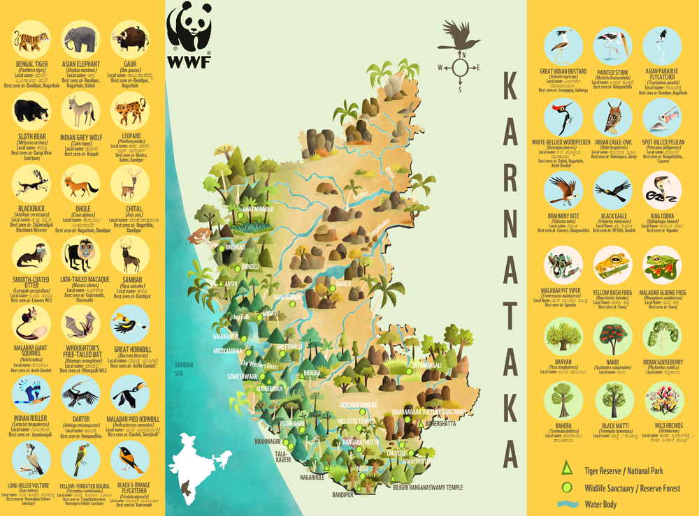 Green Humour: The Wildlife of Karnataka- an illustrated map