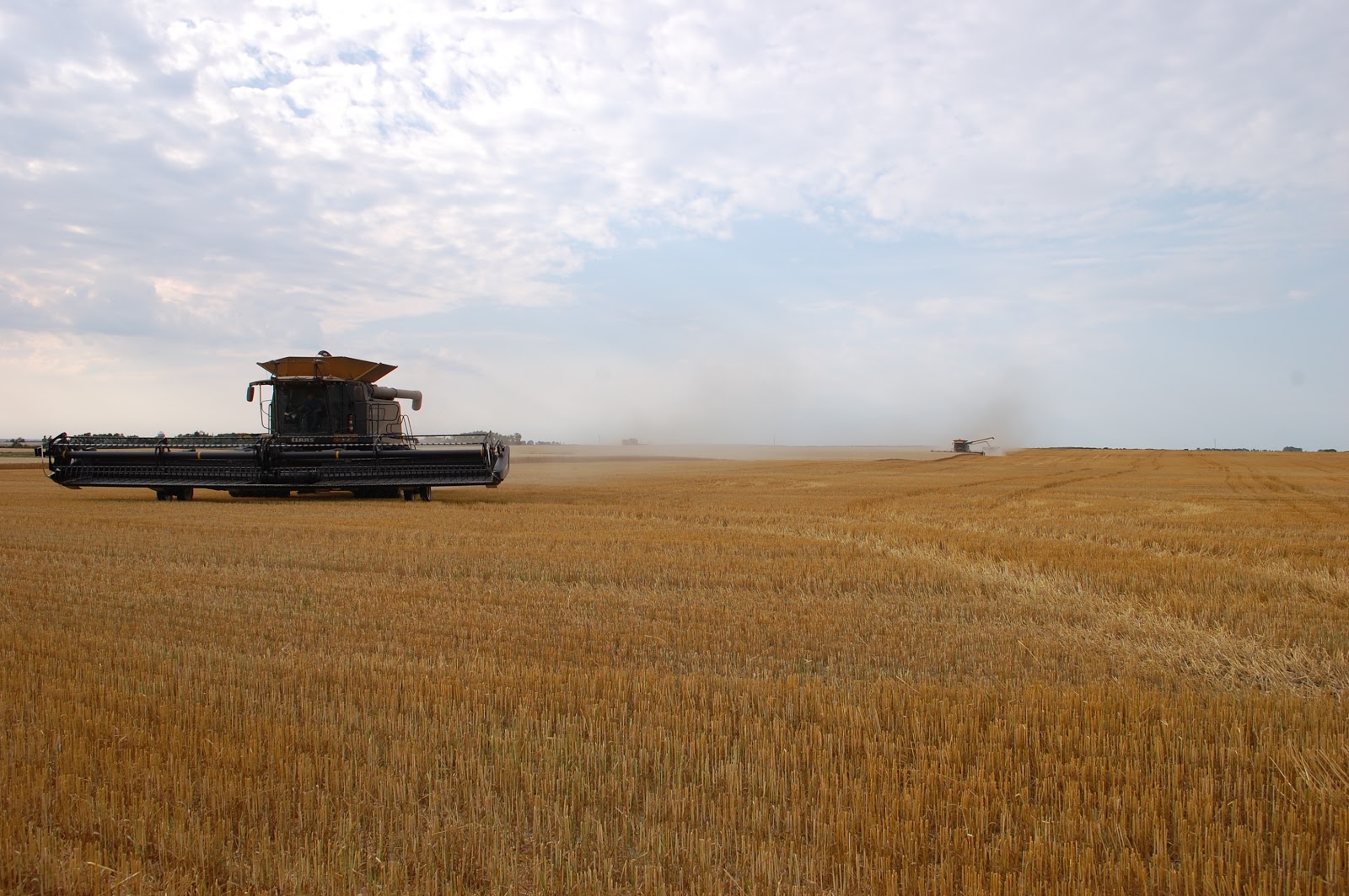 Weckerly Farms North Dakota...Where It's At