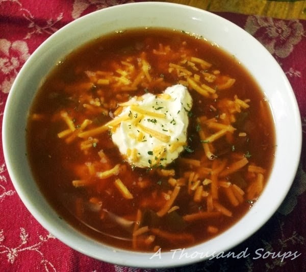 A Thousand Soups Black Bean and Salsa Soup