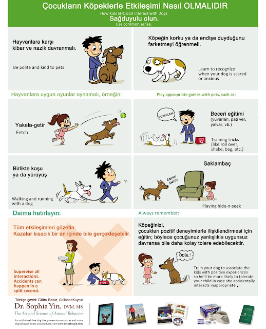 Köpeklerde sosyalizasyon Köpeklerde sosyalizasyon
