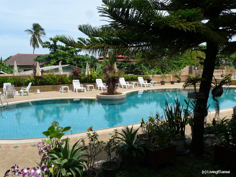 Living Samui Leben Auf Samui Wie Man Auf Koh Samui So Wohnen Kann