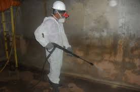 Hình ảnh có liên quan