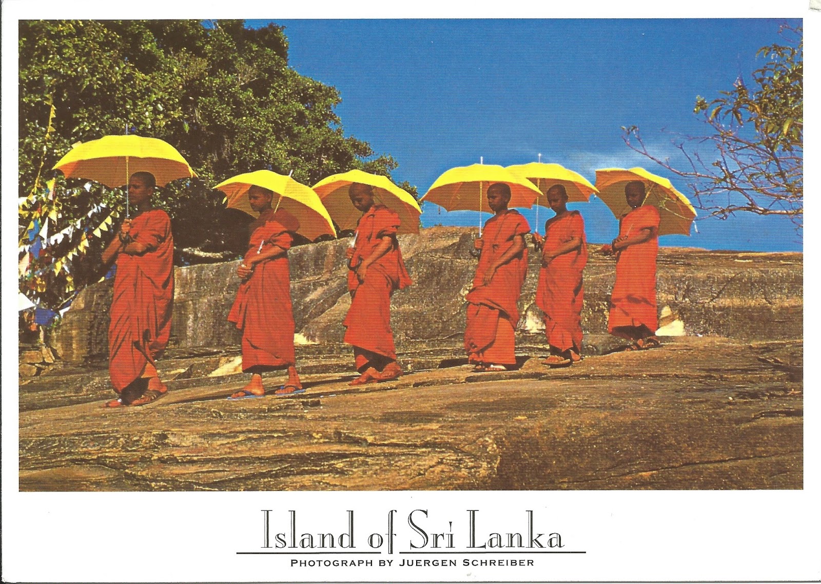 Население страны шри ланка. Сингалы Шри Ланка. Гампаха Шри Ланка. Шри ланкийцы. Шри Ланка население Национальность.