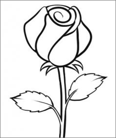 Cara Menggambar Bunga Mawar Dengan Mudah