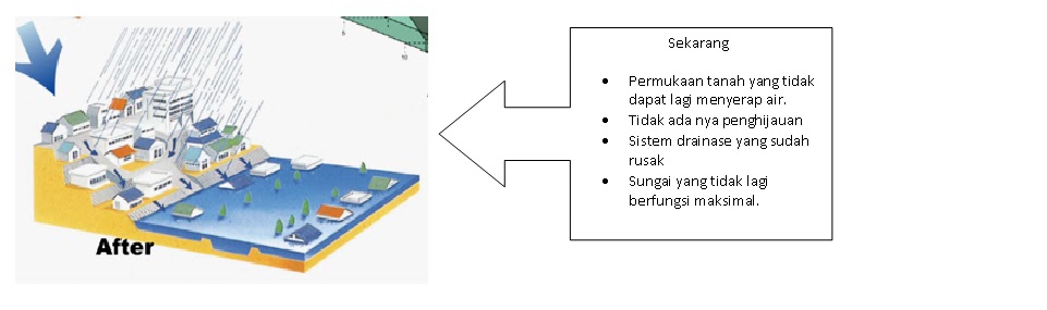 Riza Mengejar Obsesi Proses Terjadinya Banjir