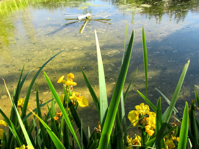 Parque de Marxalenes, abril 2014 - Paseos Fotográficos Valencia