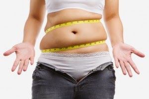 graisse abdominale sous cutanée graisse abdominale sous cutanée