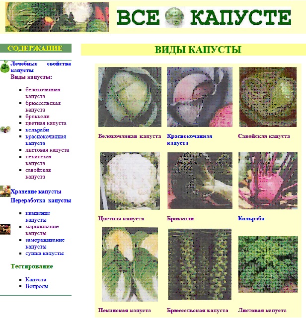 цветная капуста жар пицца. капуста через блендер для пирожковой. капуста тест. кето пицца из цветной капусты. сырные голубцы.