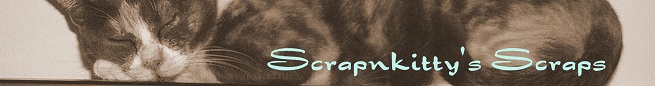 scrapnkitty's scraps