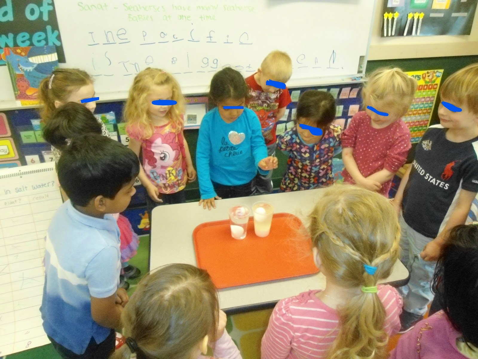 Pre-K Practices : Pre-K Science Experiments