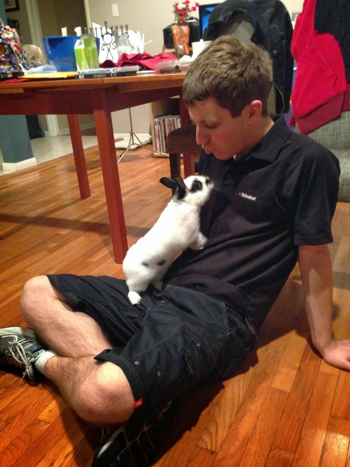 Justine's Blog How to Raise a Perfect Pet Rabbit