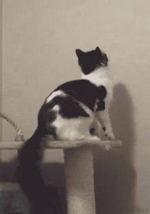 https://3.bp.blogspot.com/-oFmwSWDGut0/VtEiuvMfQTI/AAAAAAABXcQ/_0I-PiFlLMw/s1600/1.gif