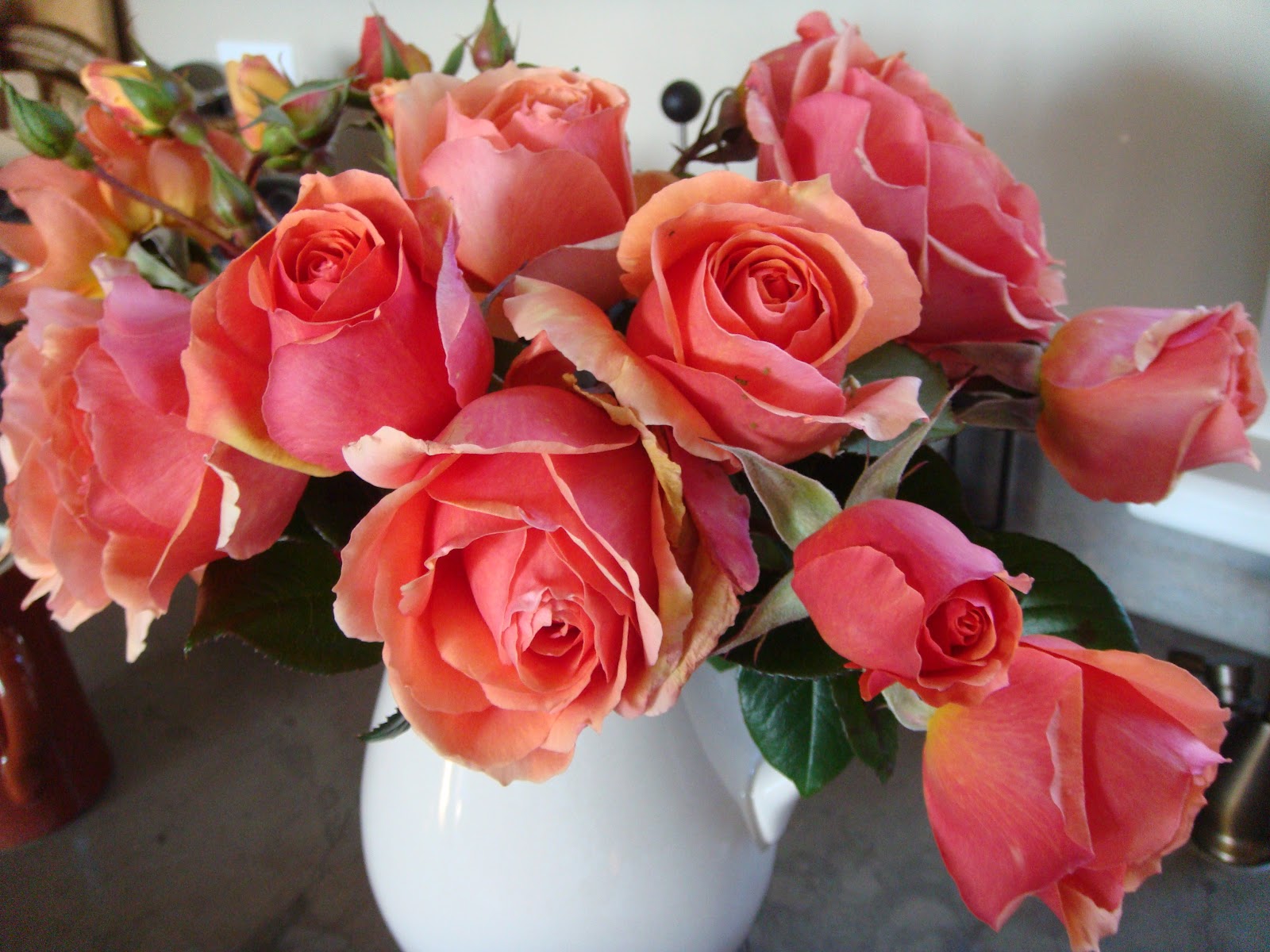 the lime walk FLOWERS FROM THE GARDEN ON THE FARM