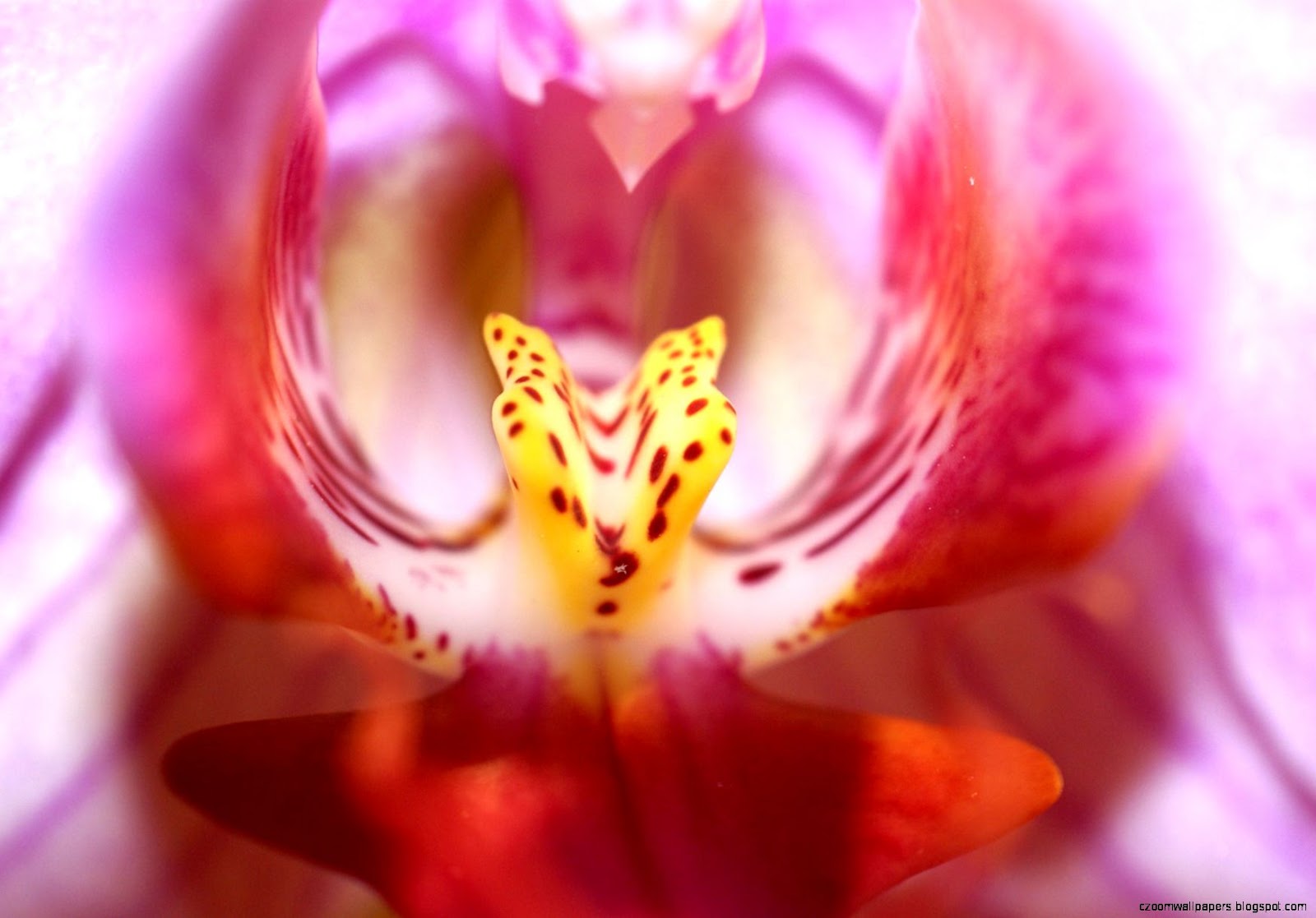 for download please do right click and save as  with modern