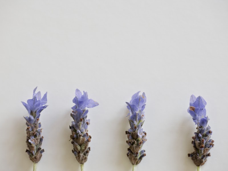 Dashfield Vintage Crabapple and lavender compote