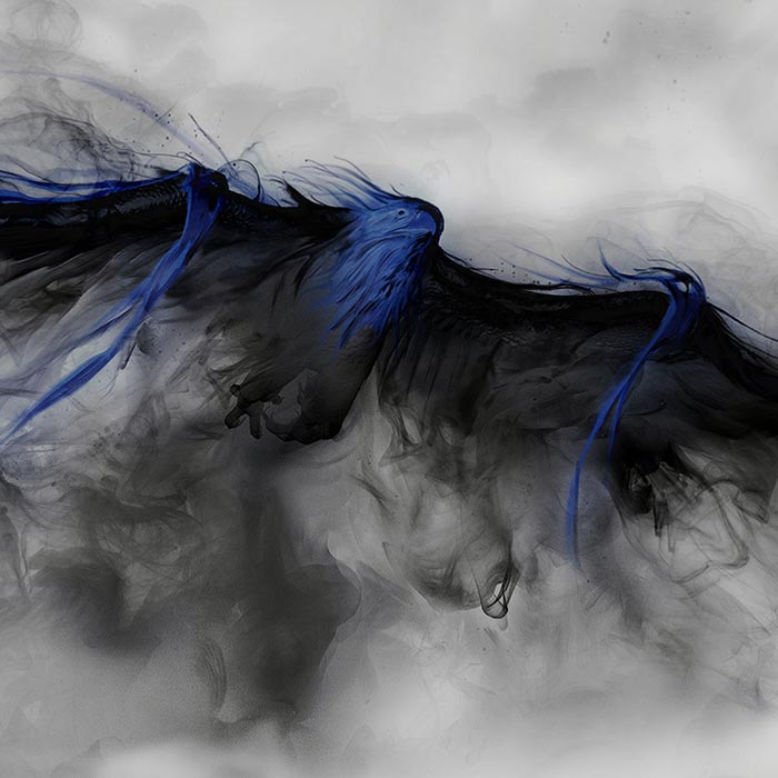 lck eagle msi kz