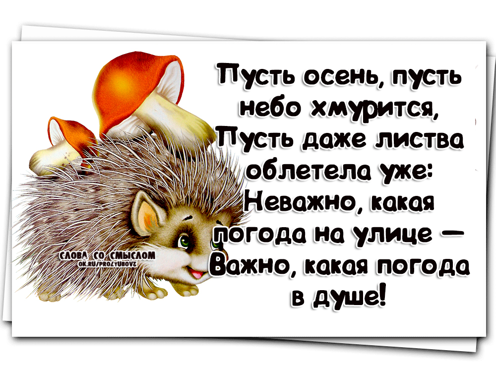 Не важно какая погода за окном важно какая погода в душе картинки с добрым утром