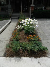 Leslieville front garden renovation after Paul Jung Toronto Gardening Services