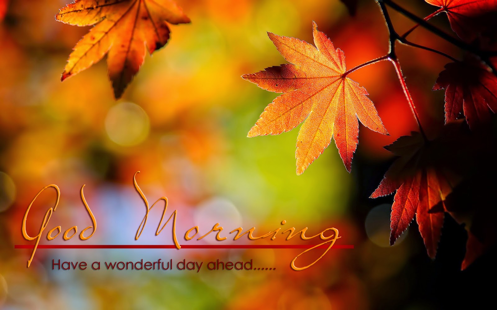 Wallpapersity: Latest Good Morning HD Wallpaers