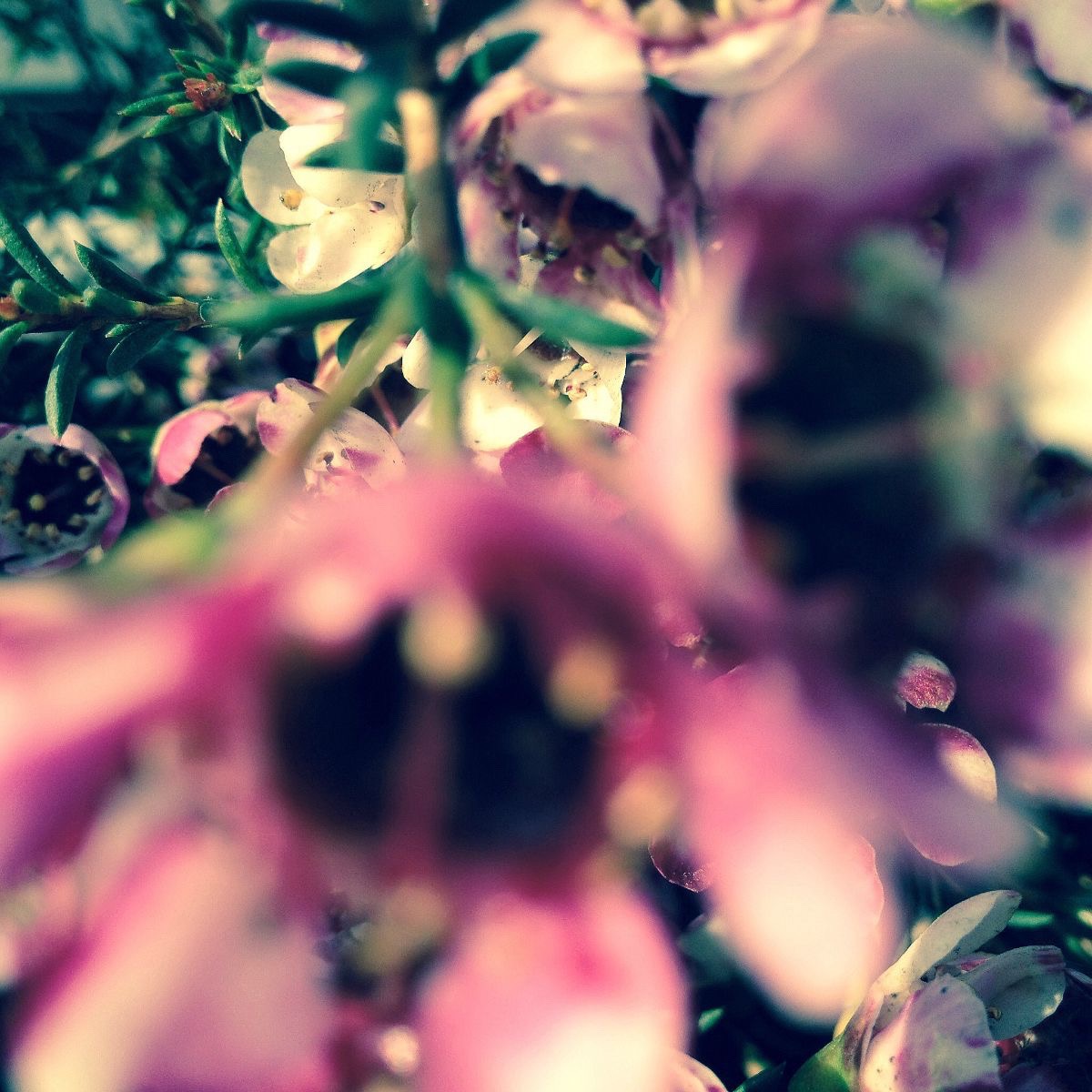 International Organization For Migration