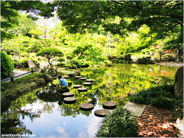 Stepping Stones en el Fort Worth Japanese Garden