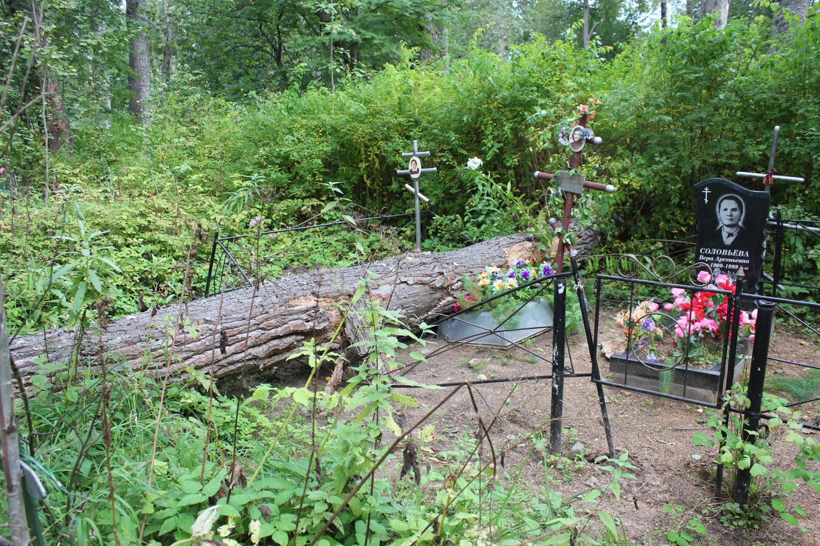 на кладбище ветер. на кладбище ветер свищет. и на кладбище с ветерком. на кладбище ветер. на кладбище ветер.