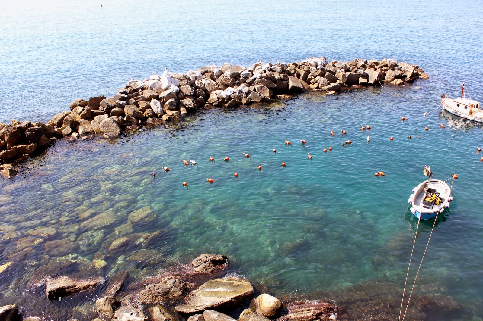 Riomaggiore in the Cinque Terre