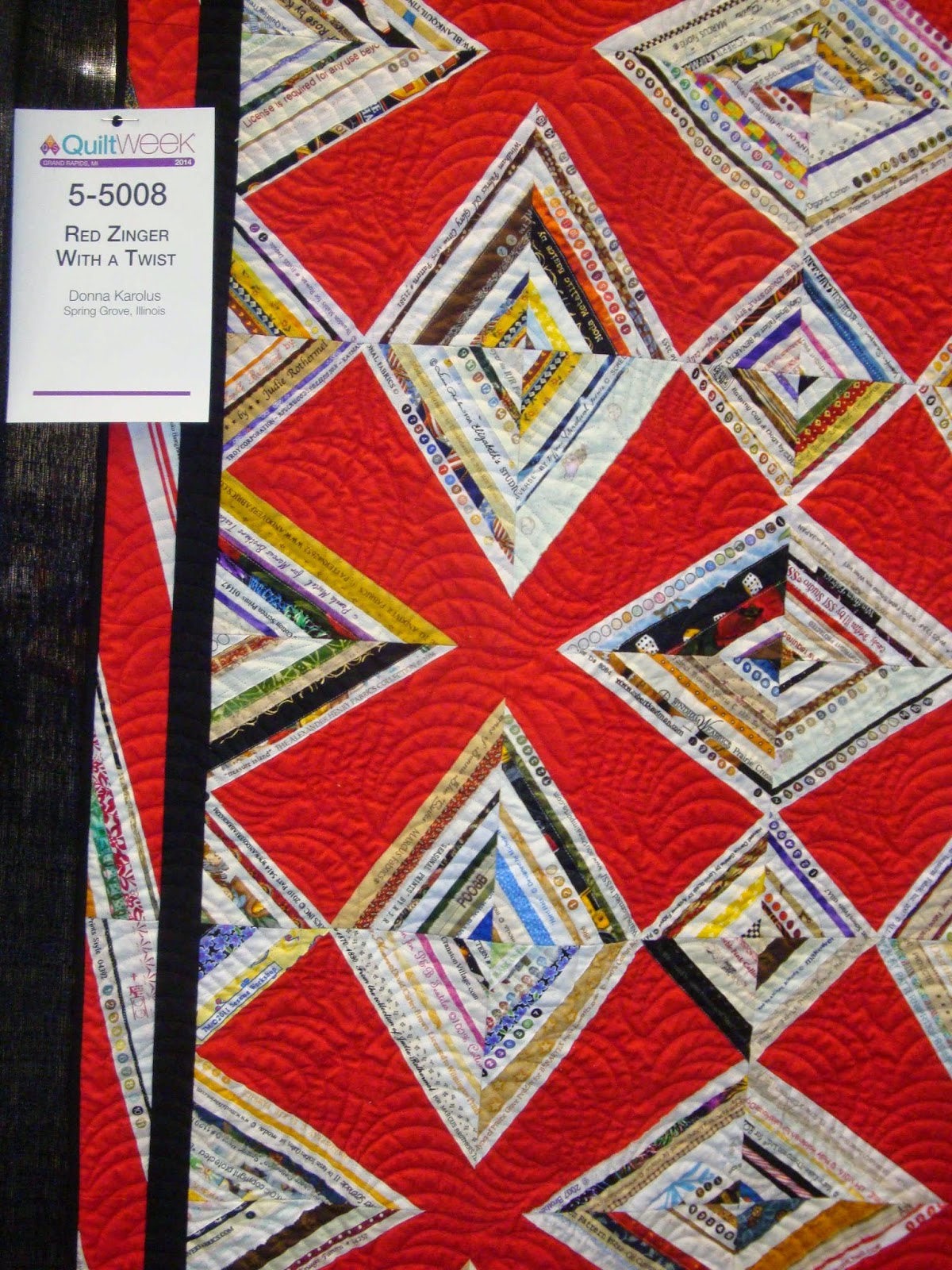 FABRIC THERAPY 2014 AQS Grand Rapids Quilt Show...Part Four...