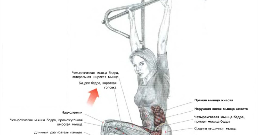 вис на турнике какие мышцы