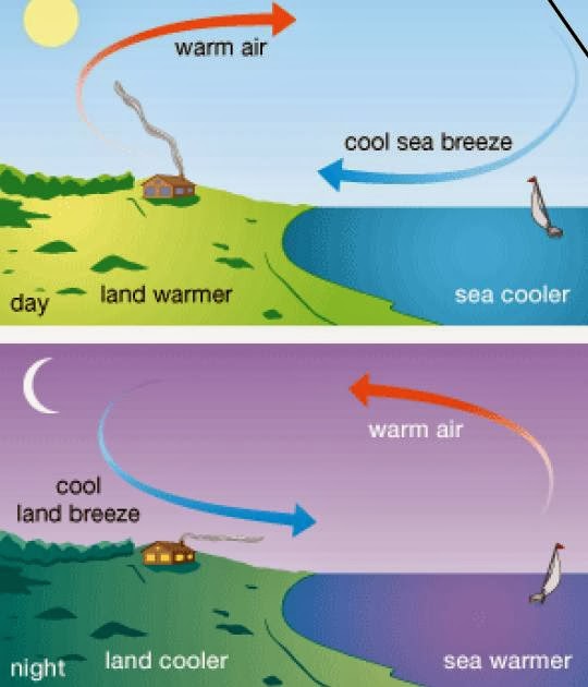definition of moderating effect of water