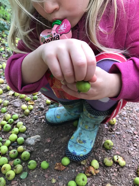A young girl holding up a tiny apple while sucking from an organic mamia fruit pouch