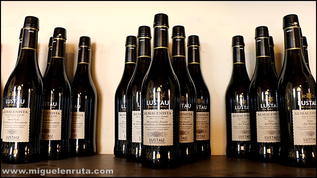 Bodegas-Lustao-Jerez_12