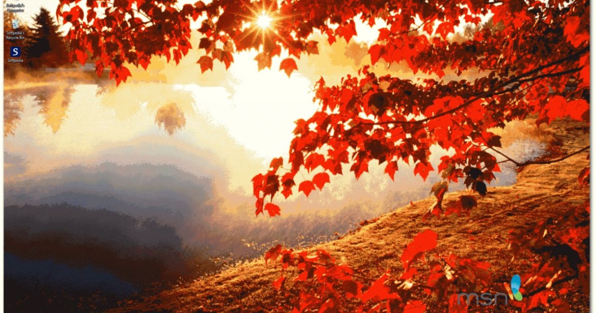 Msn Wallpaper Screensaver | Best Background Wallpaper