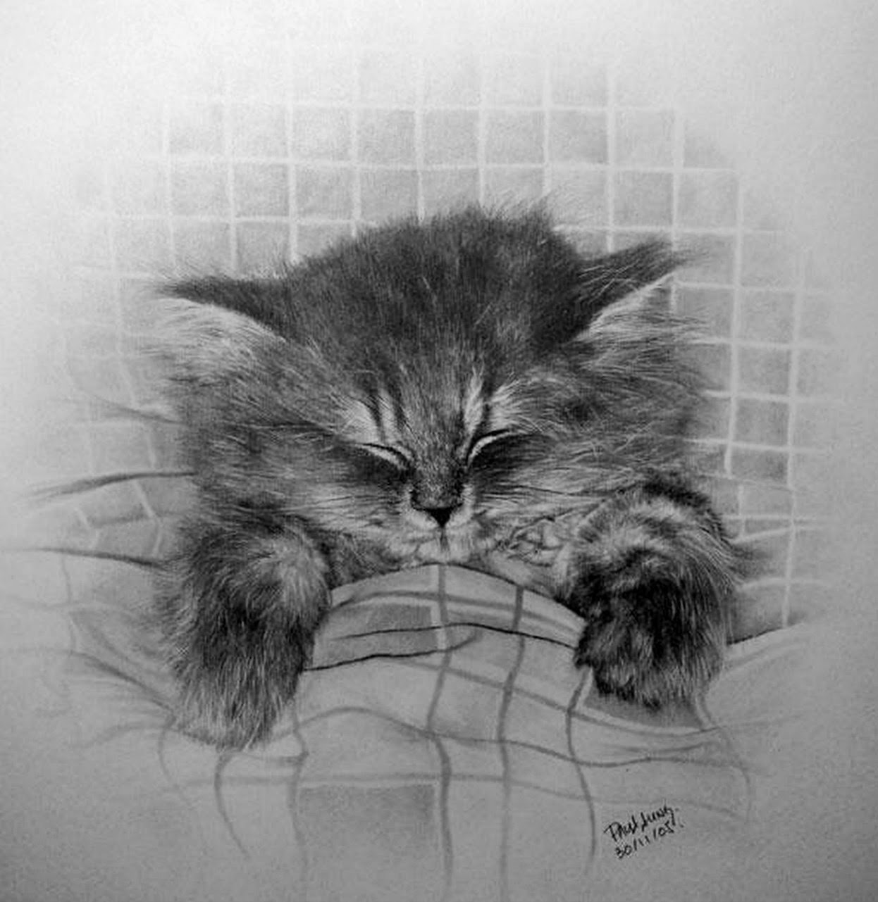 EL ARTE Y ACTIVIDAD CULTURAL: Dibujos de Gatos a Lápiz, Paul Lung, 1970,  China.