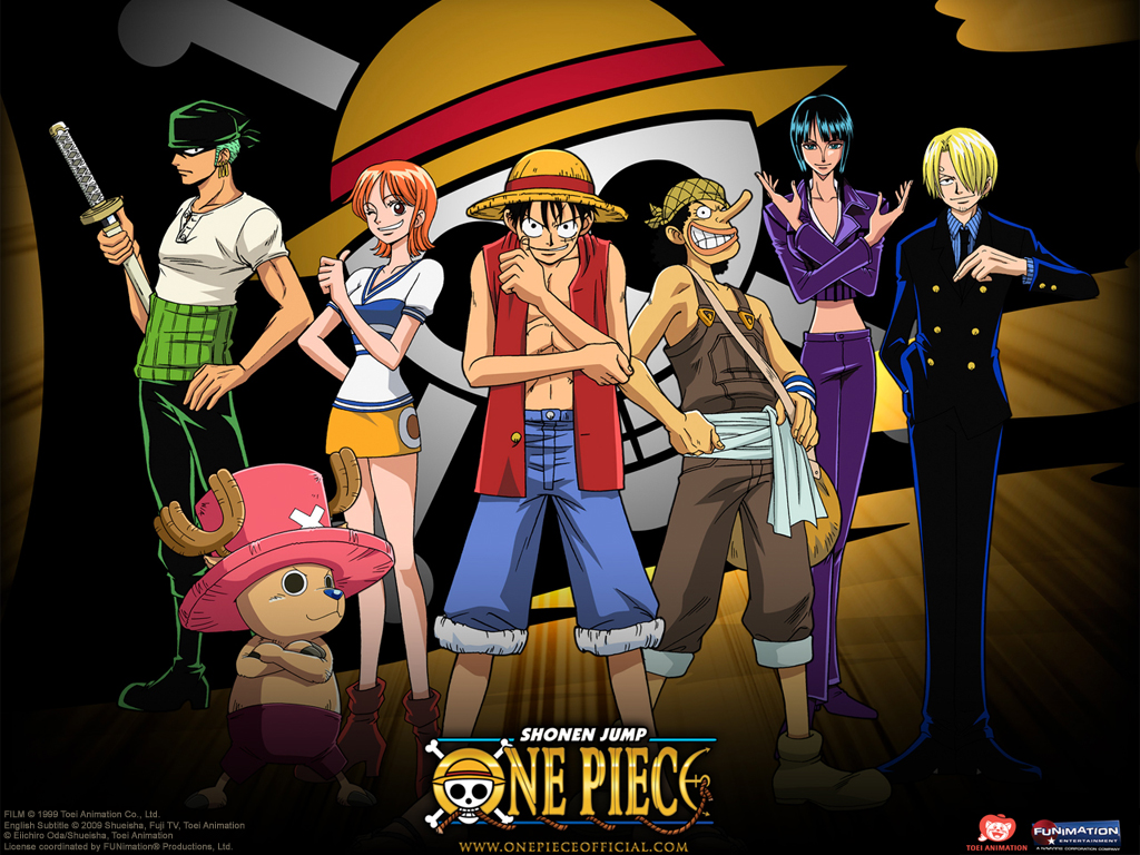 One Piece Cover