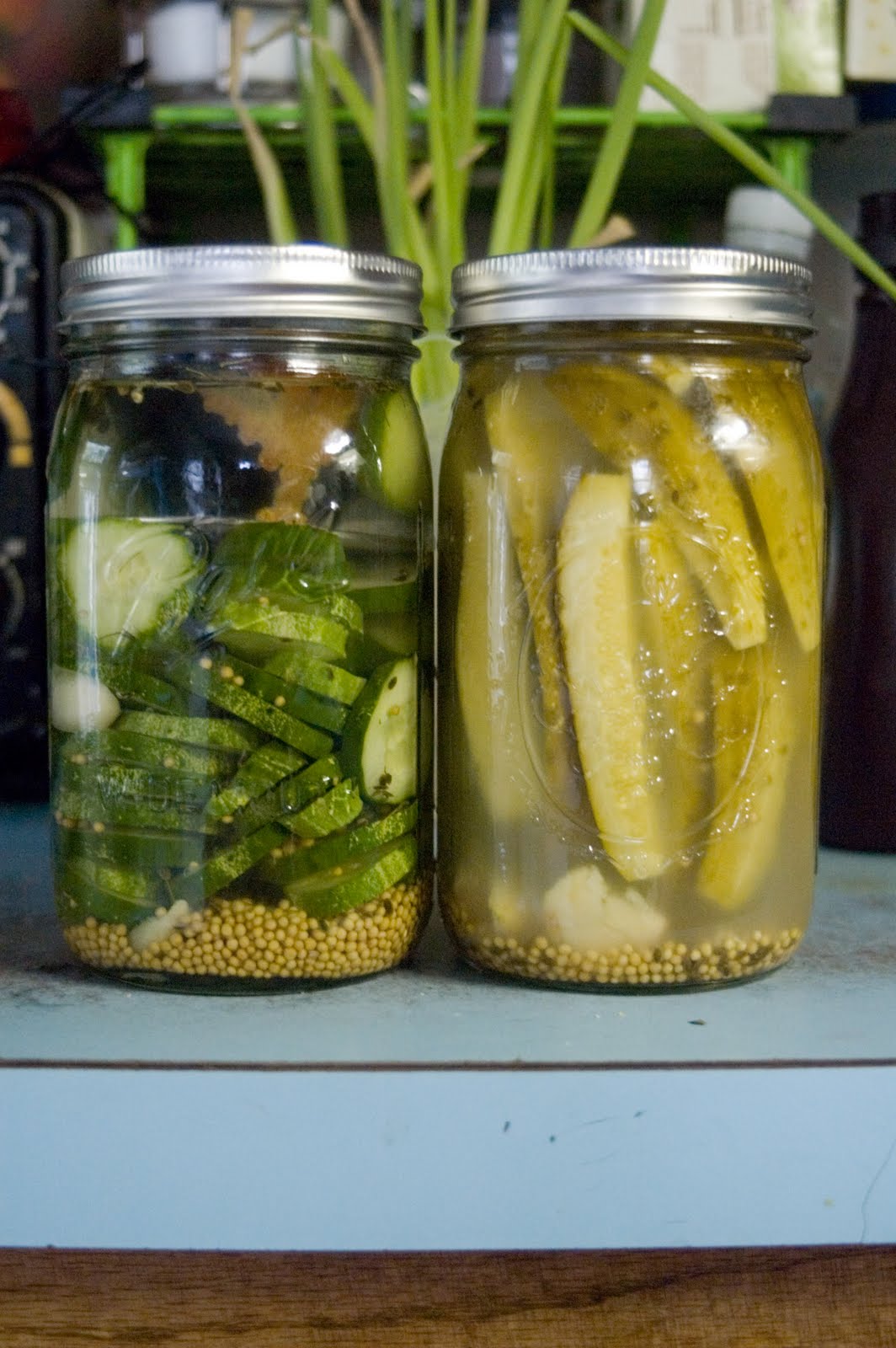 Whatever it needs to be... Fermented pickles, one jar at a time.
