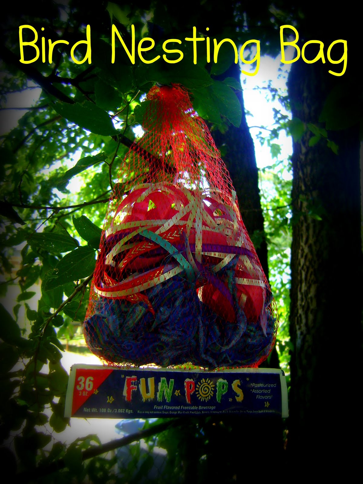 Sha Chicks Bird Nesting Bag