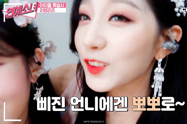 19.gif