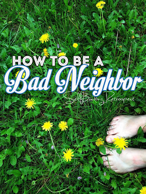 How To Be a Bad Neighbor - SelfBinding Retrospect by Alanna Rusnak