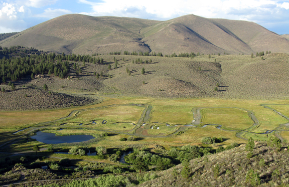Wasteland Wastrel: Camping in the Pine Flats