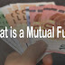 What is a  Mutual Fund?