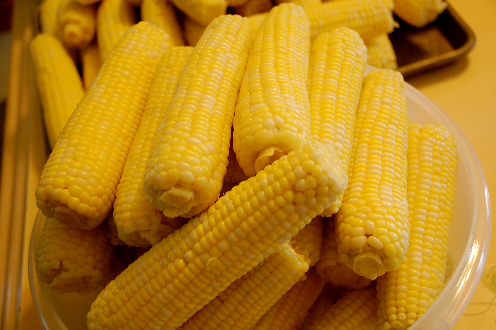 Melynda's Passion Iowa Sweet Corn