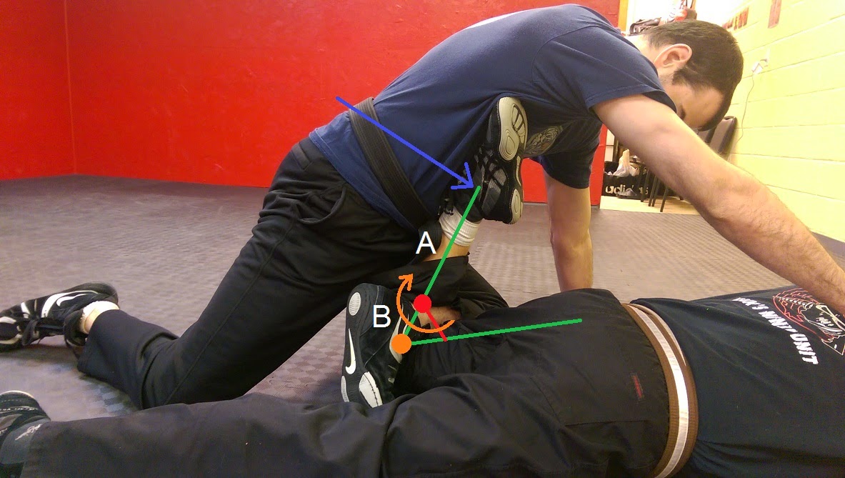 Martial Arts Science Compression Locks