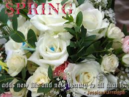 Free Wallpaper Dekstop: Quotes on spring, quotes about spring