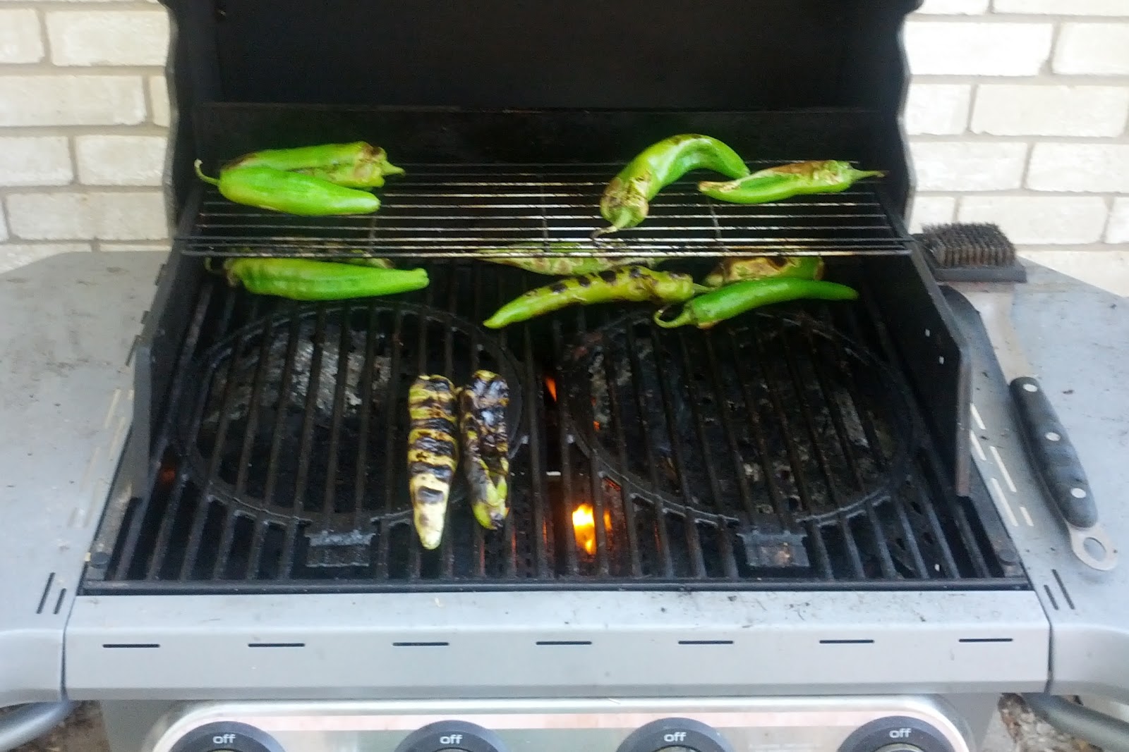 Freshman Foodie Hatch Chile Festivals