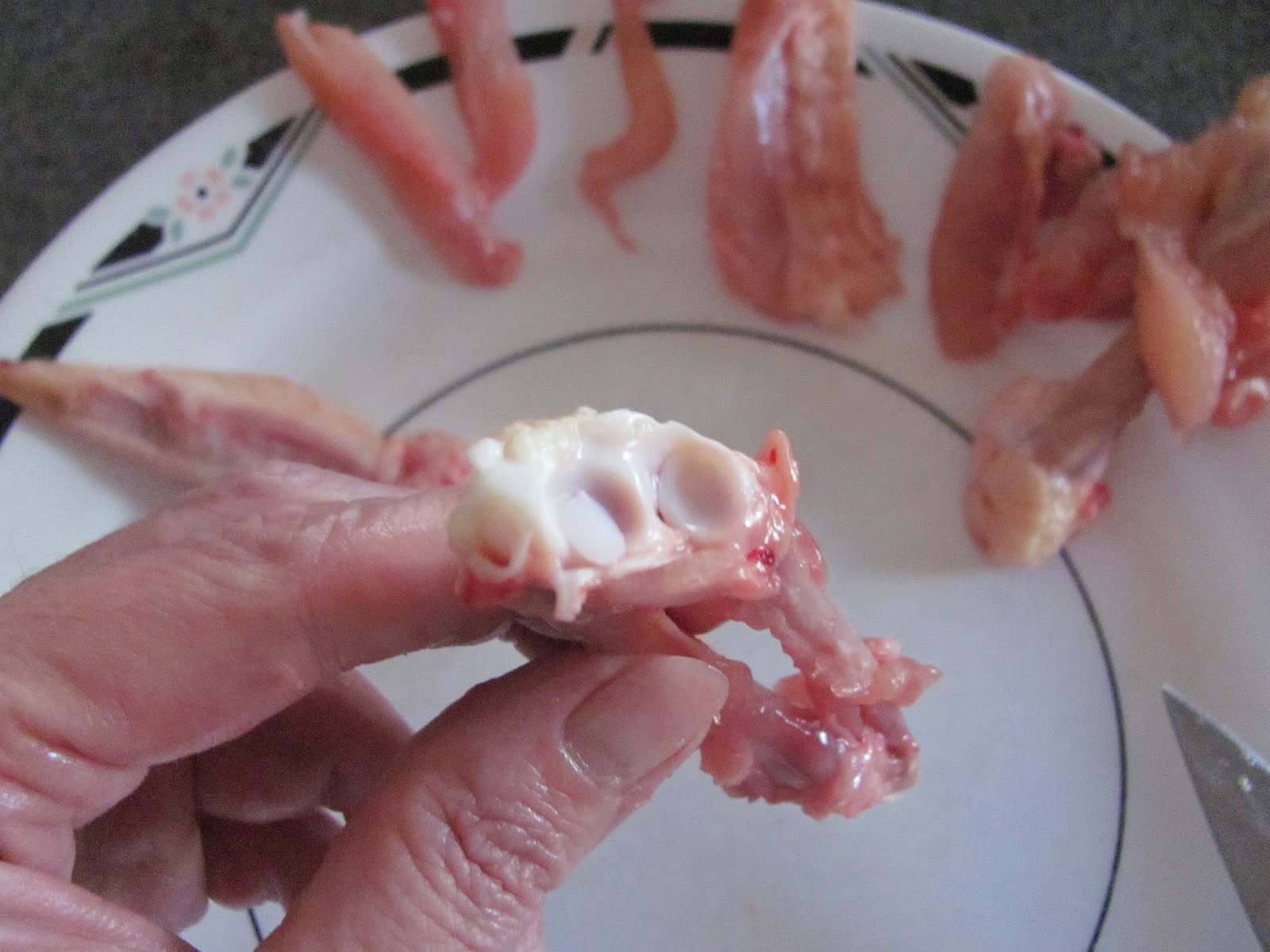 BIO 156, Fall 2015: Week 6. Chicken Wing Dissection Lab.