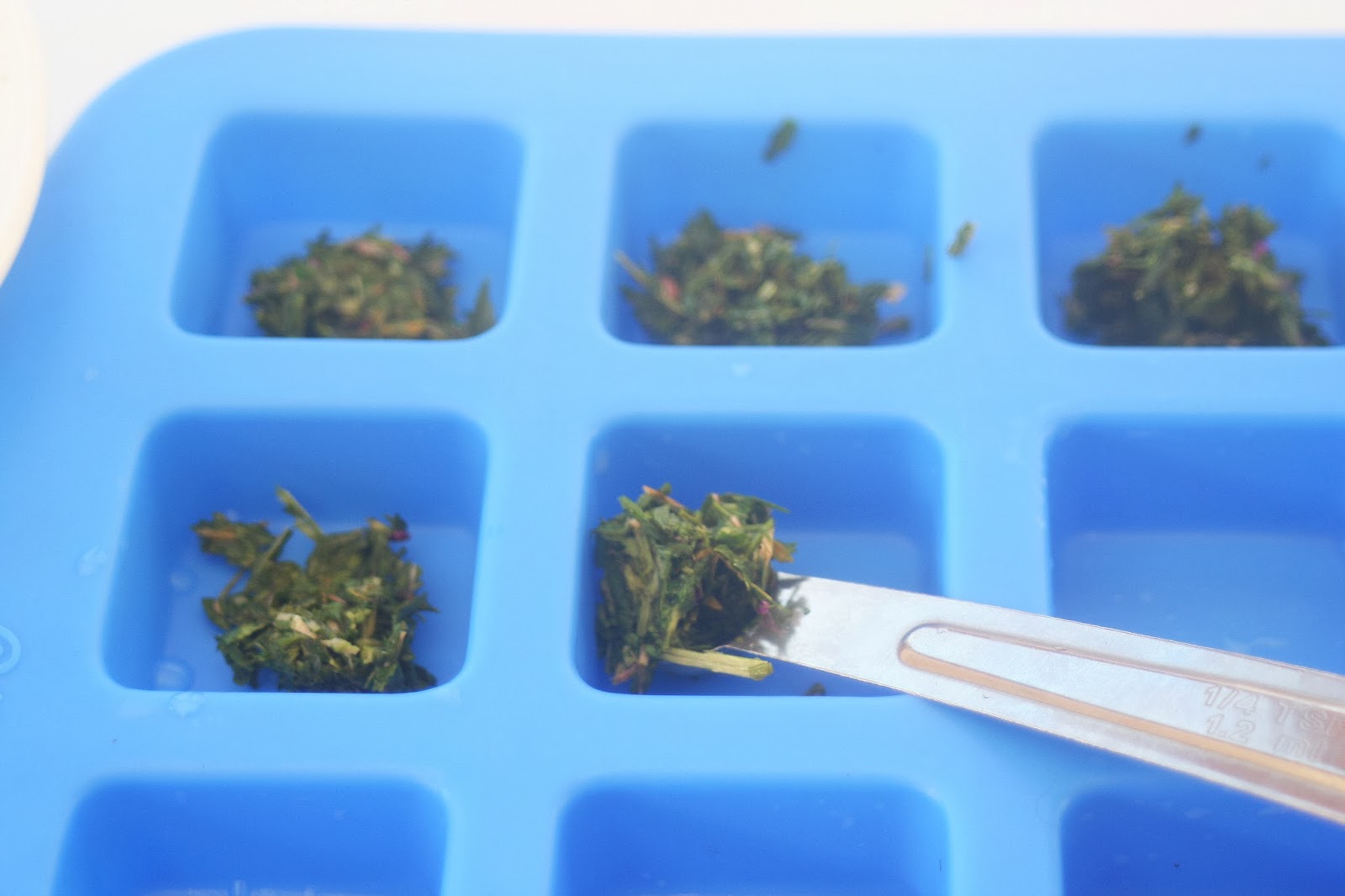 Thankful Expressions Tallow Tabs for Dogs