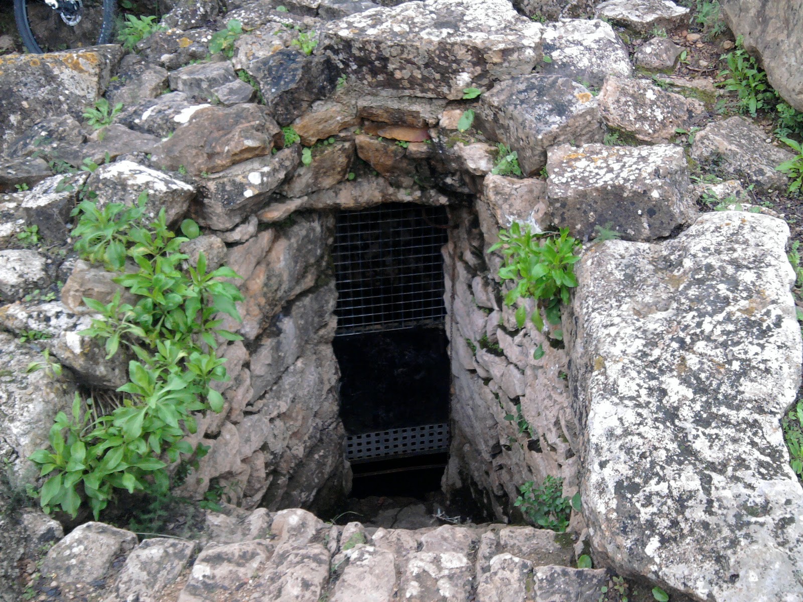 font de la mata